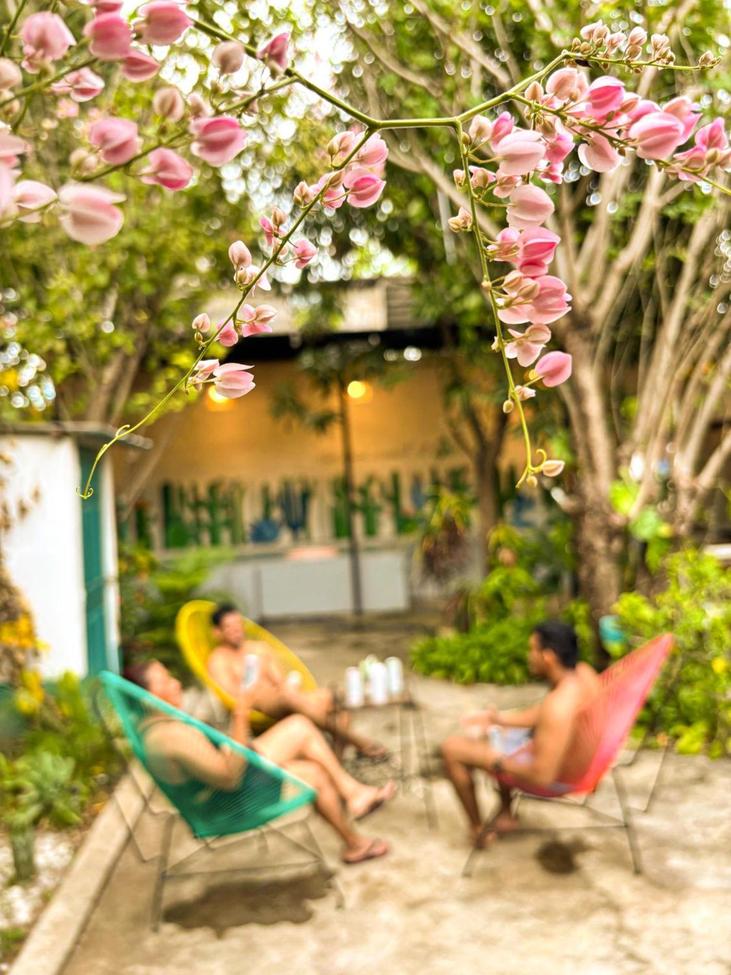 Hostal El Rio León Exteriör bild
